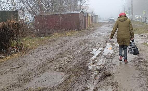 Куряне требуют убрать нелегальные гаражи и штрафовать за парковки на газонах улицы Веспремской