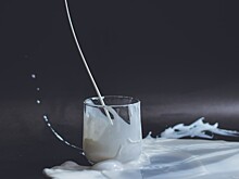 Ключевой задачей развития молочной отрасли в России определили выход на самообеспечение