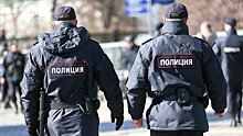 ЛДПР предлагает обязать полицию патрулировать общественные места