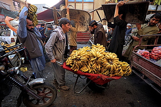 Миру предрекли голод при дефиците бананов