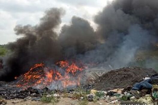 В Омске произошел пожар на несанкционированной свалке