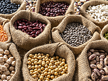 Учёные дали полезный совет тем, кто легко взрывается