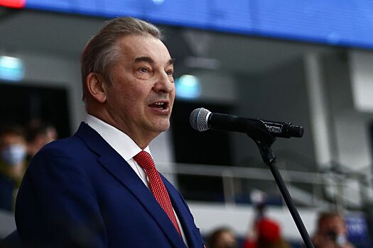 Третьяк и губернатор Воронежской области обсудят новые ледовые арены в регионе