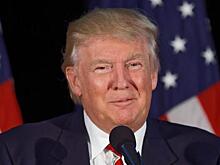 Трамп хочет отсрочить подачу налоговой декларации за 2016 год