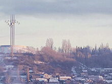 В соцсетях показали «утреннюю морозную нежность» в Саратове