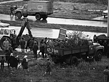 Коньковский перформанс. Самовольная выставка художников изменила советское искусство