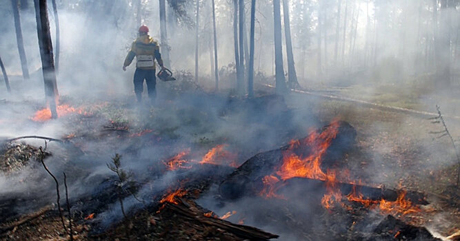 Helsingin Sanomat (Финляндия): летняя работа в тайге