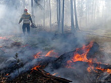 Helsingin Sanomat (Финляндия): летняя работа в тайге