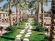 Названы страны, куда россияне поедут зимой