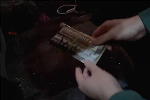 Конверт с подписью «Настоящему мужику» из машины российского чиновника попал на видео