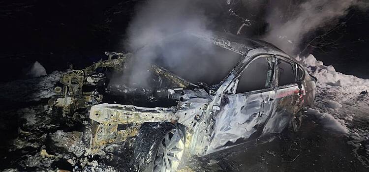Водитель и ребенок сгорели в BMW