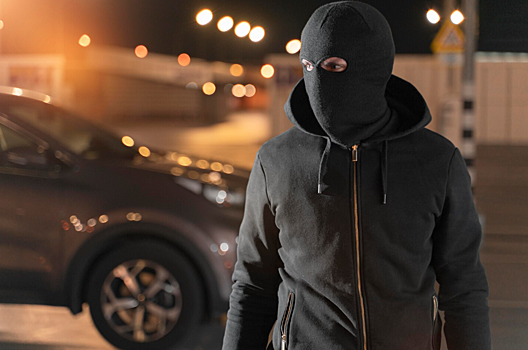 Новосибирские спецслужбы предотвратили мошенничество в сфере автостраховании