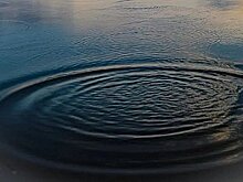 Девочка утонула в районе пляжа «Амуркабель» в Хабаровске