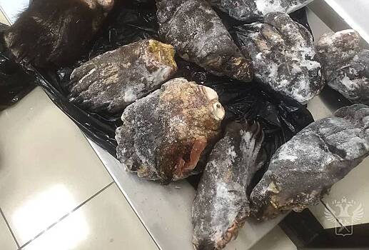 Более десятка медвежьих лап нашли в багаже летевшего в Северную Корею пассажира