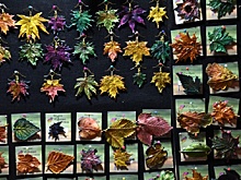 Какие серьги выбрать: семь моделей, которые привлекут к вам внимание