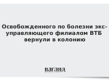 Освобожденного по болезни экс-управляющего филиалом ВТБ вернули в колонию