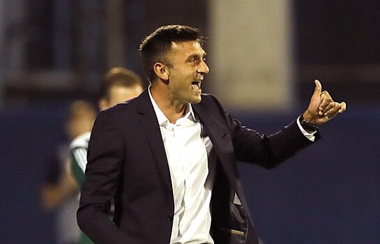 Неизвестные избили битами тренера загребского «Динамо»