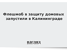 Флешмоб в защиту домовых запустили в Калининграде