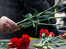 Красногорцев пригласили на онлайн-программу в День освобождения узников фашистских концлагерей