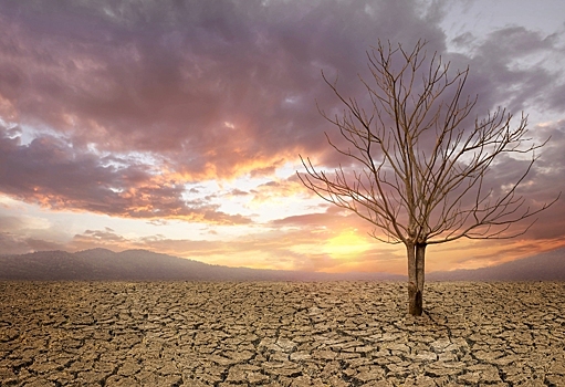 Найдена связь между изменением климата и здоровьем желудка