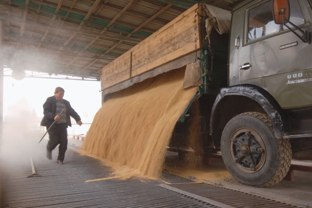 В интервенционный фонд РФ вновь закупили антирекордный объём зерна