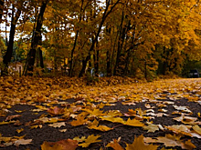 Как не пропустить депрессию