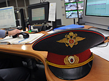 Мужчина с топором украл 100 рублей у пенсионерки в Подмосковье