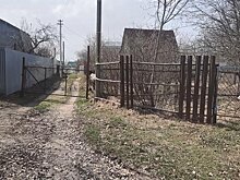 В Пензенской области станут искать владельцев брошенных дач