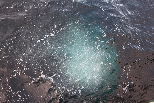 Российские ученые предложили способ обнаружения выбросов метана в Арктике