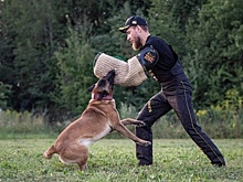 В Курске получили госаккредитацию 4 федерации спорта