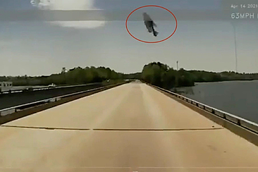 Столкновение грузовика с упавшей с неба рыбой сняли на видео