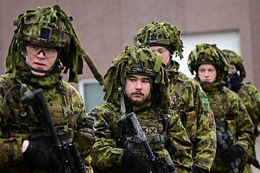 Эстония согласилась отправить войска на Украину с условием