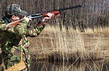 В Тамбовской области открывают сезон охоты на дичь