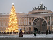 В Петербурге выбрали главную новогоднюю ель для Дворцовой площади