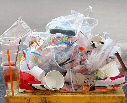 Ленобласть первой в России запретила использовать пластик