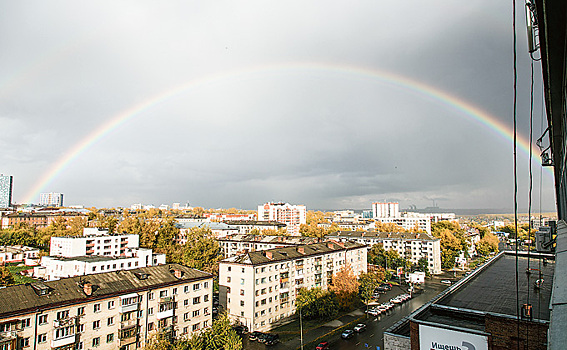 «Зеленый щит» создают вокруг Новосибирска