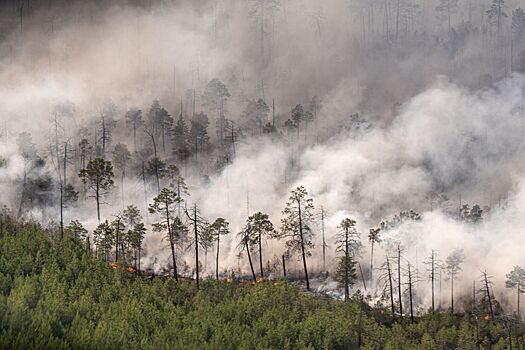 В ХМАО площадь горящего леса сократилась на 49 тысяч гектаров