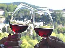 Винный туризм становится двигателем индустрии в России