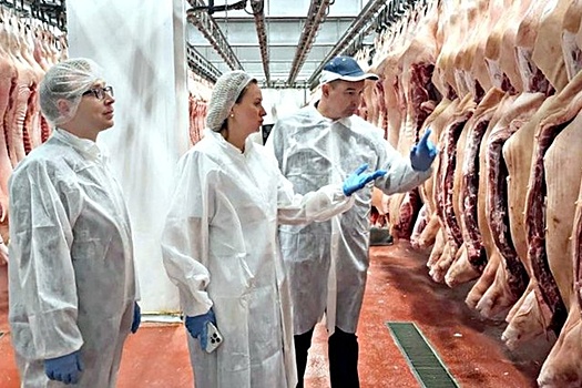 Челябинская область занимает позицию лидера среди регионов УрФО по объемам агроэкспорта