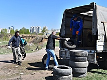 В Барнауле может появиться новая "зеленая зона"