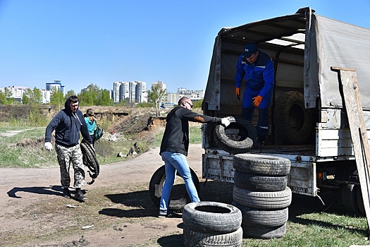 В Барнауле может появиться новая "зеленая зона"