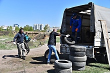 В Барнауле может появиться новая "зеленая зона"