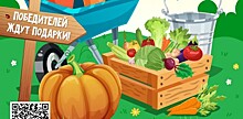 Жители Ясенева могут поучаствовать в конкурсе урожая 10 сентября