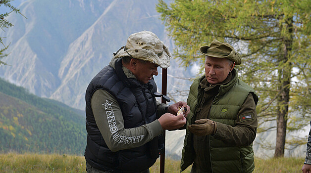 Путин и Шойгу собрали грибы в тайге