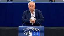 Евродепутат выпустил белого голубя во время заседания ЕП в Страсбурге
