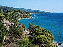 Геленджик снова на карте: плюсы и минусы курорта в новом сезоне