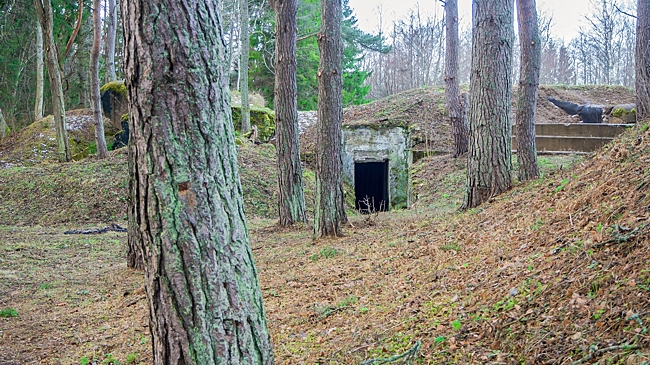 Эстония начала строить бункеры на границе с Россией