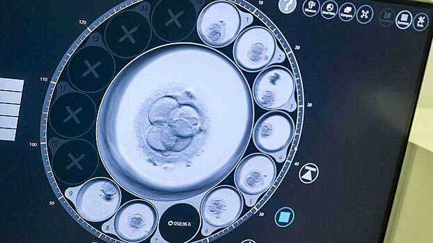 Вдовам бойцов СВО массово отказывают в ЭКО с замороженными эмбрионами