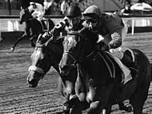 Тайная жизнь московского ипподрома в эпоху карантина