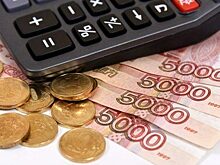 С начала года бюджет Курганской области недополучил более 10 миллионов